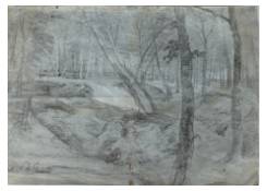 drawings CB:632 View of a Forest Glade