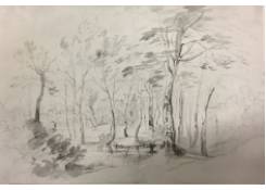 Work 631: A Pond in the Forest