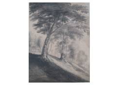 Work 577: Landscape with Trees on a Slope