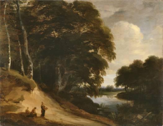 Forest Landscape with a River